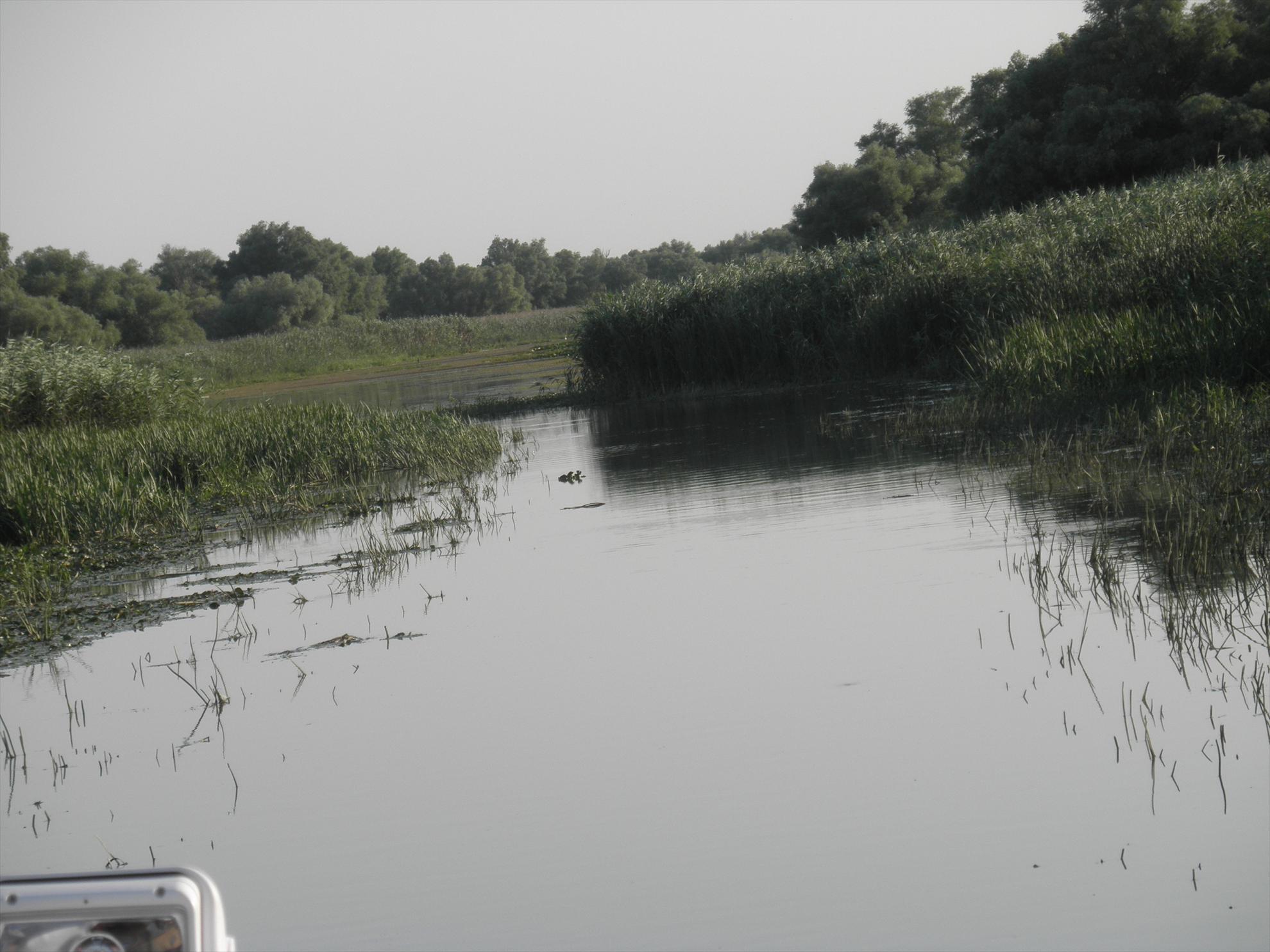 Delta - relaxare - p7280115.JPG